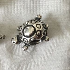 turtle charm